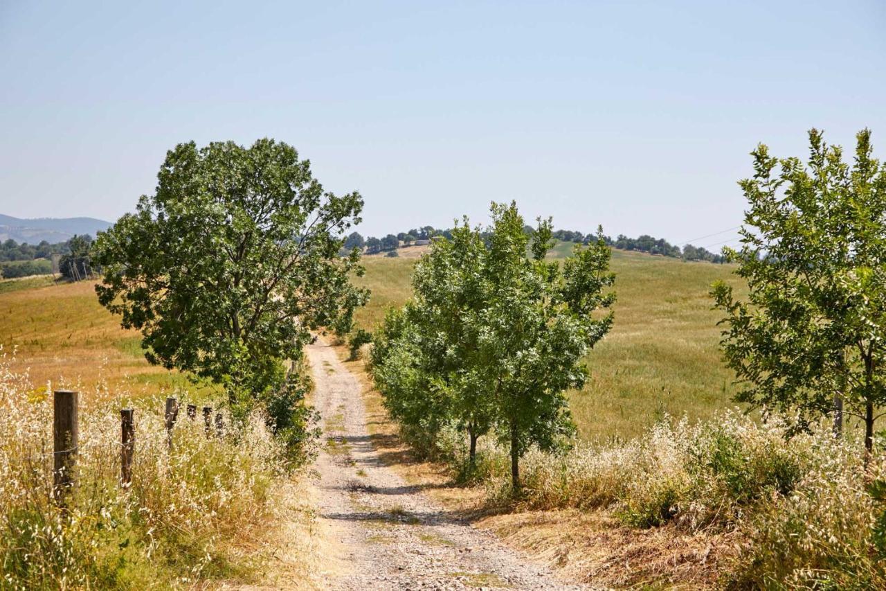 Agriturismo Montecrespini ซาตูร์เนีย ภายนอก รูปภาพ